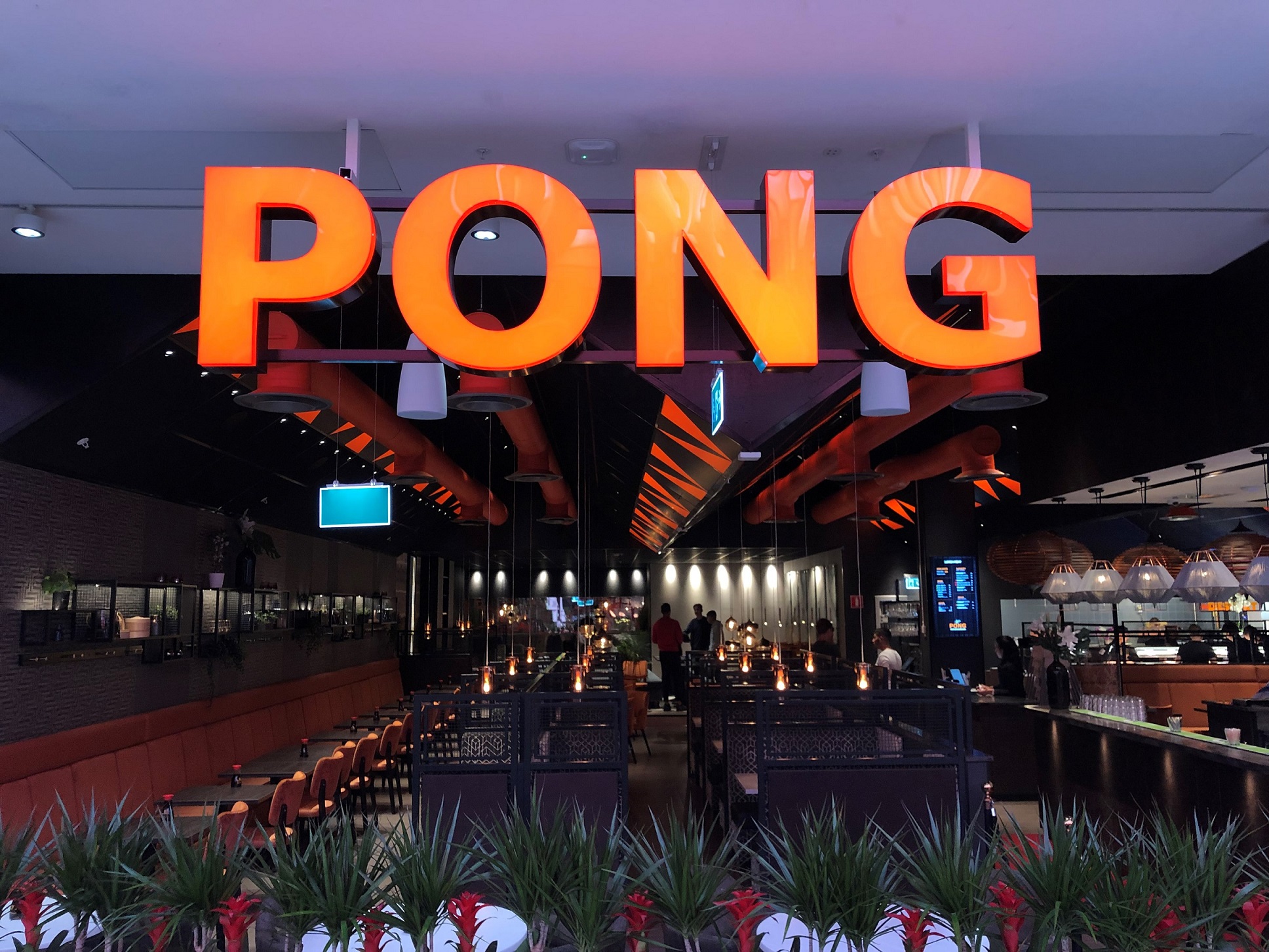 Pong skylt