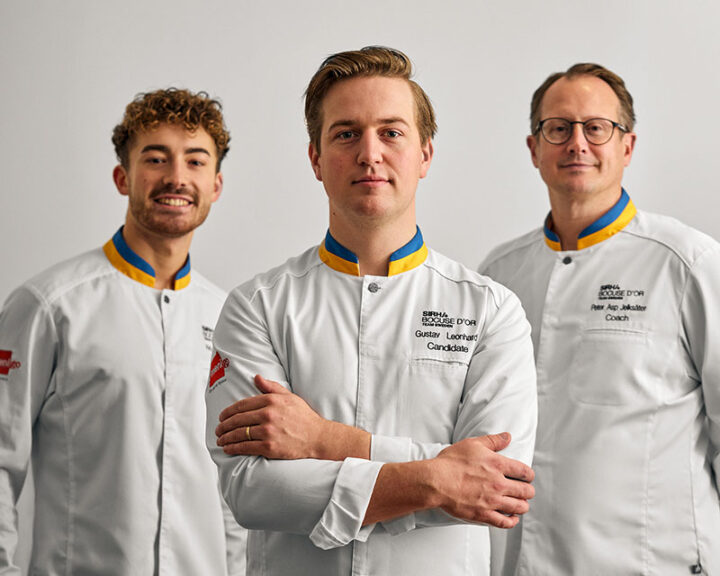 Team Sweden_webb