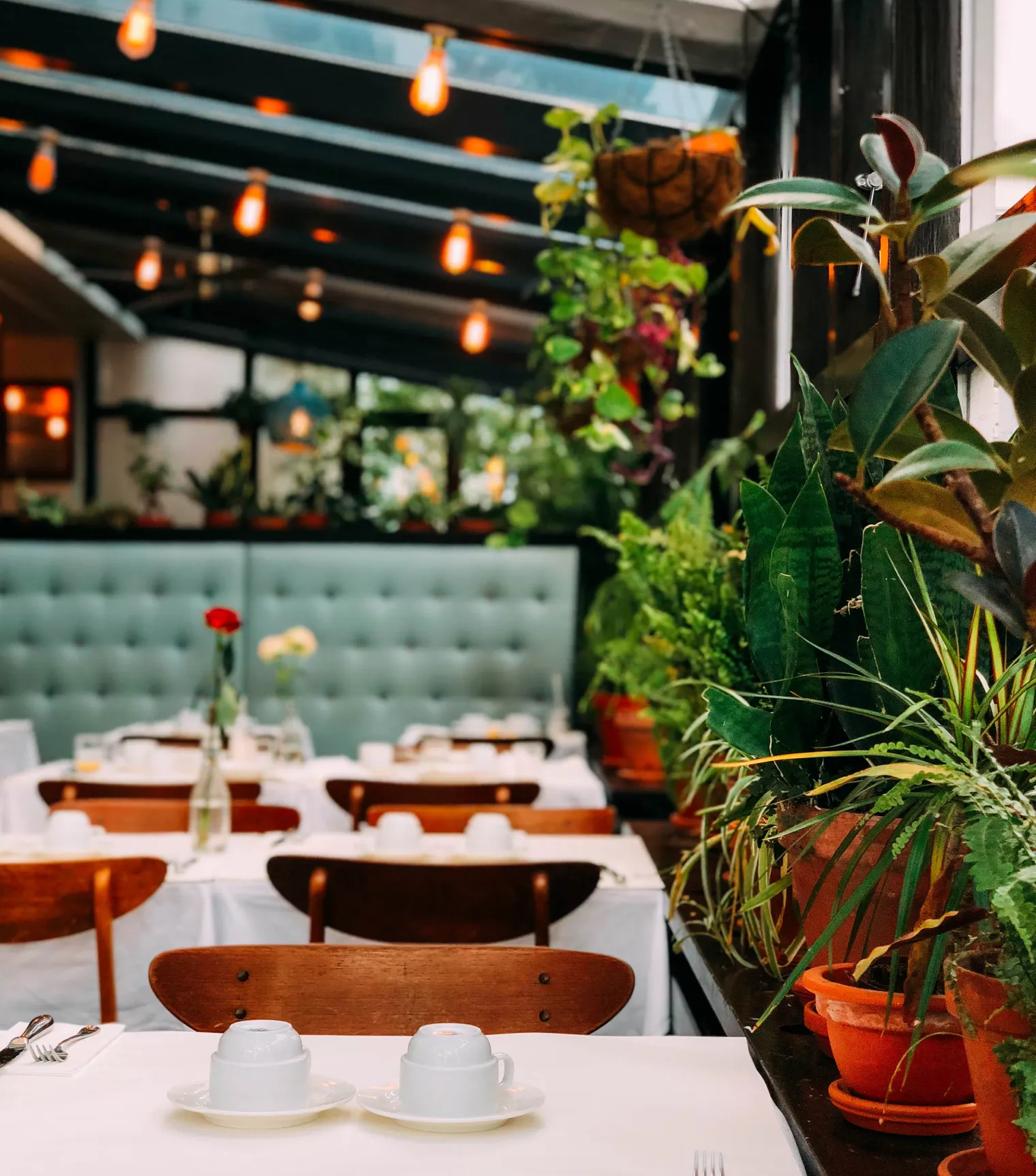 Premium sittning på Forno Napoli